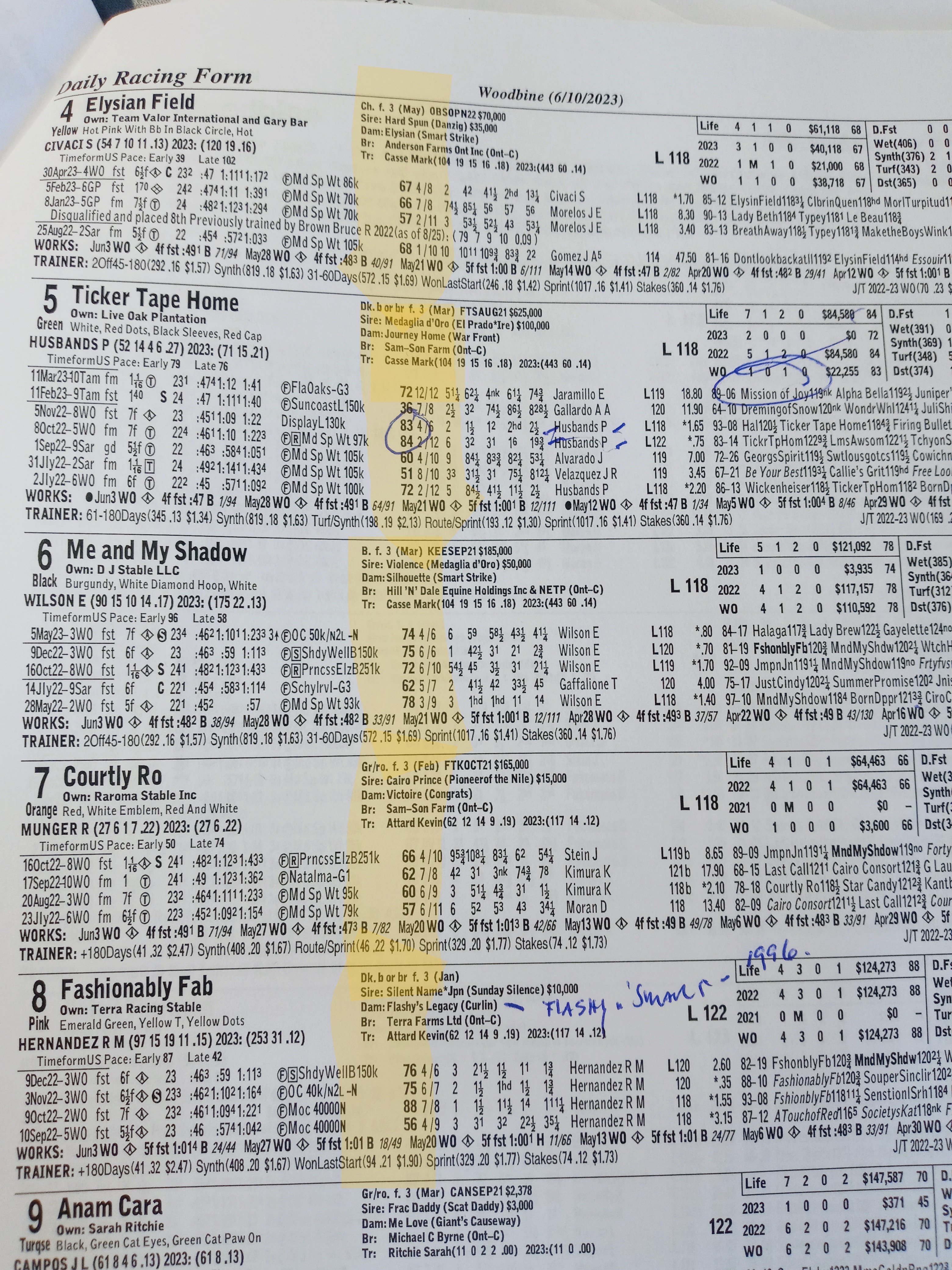 A handicapping sheet showing an example of the speed figures explained in the article.