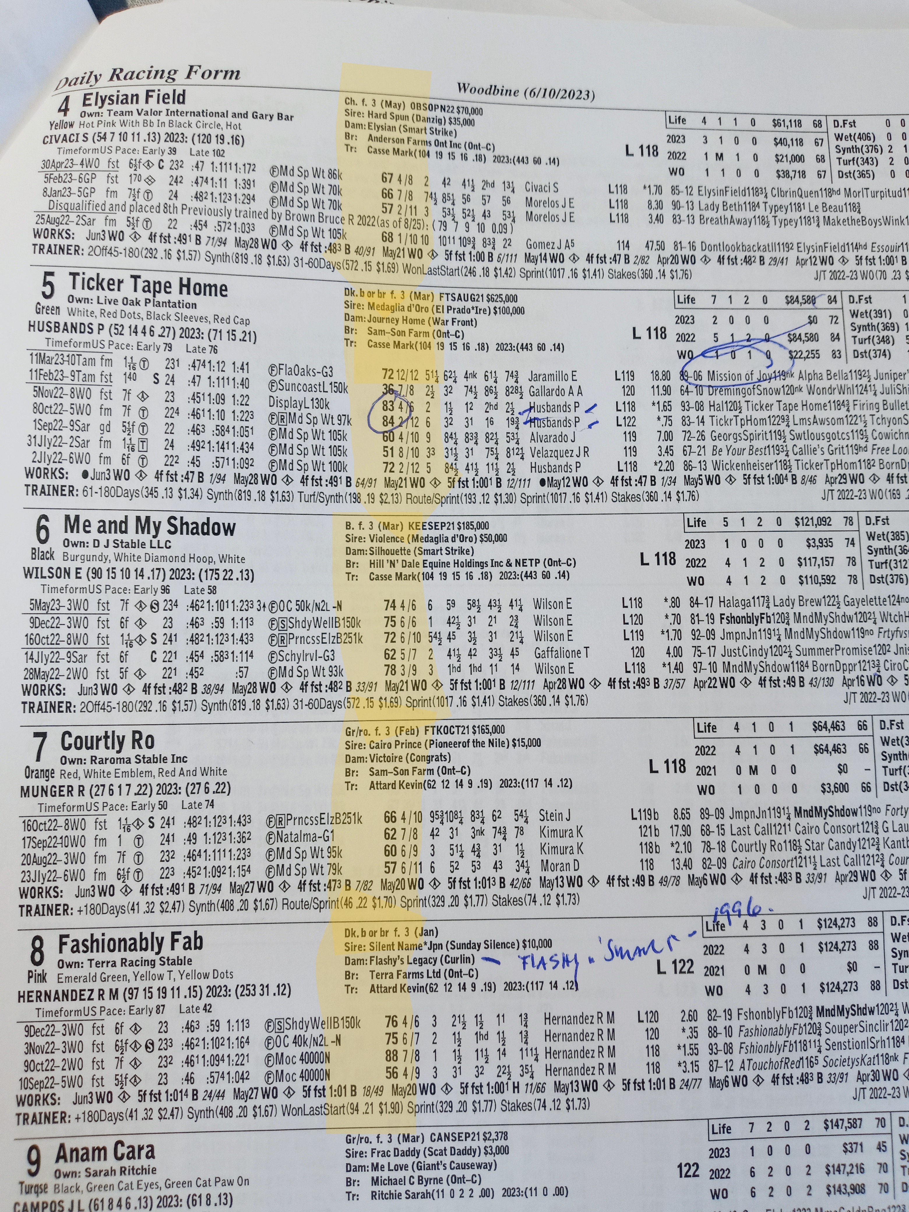 A handicapping sheet showing an example of the speed figures explained in the article.