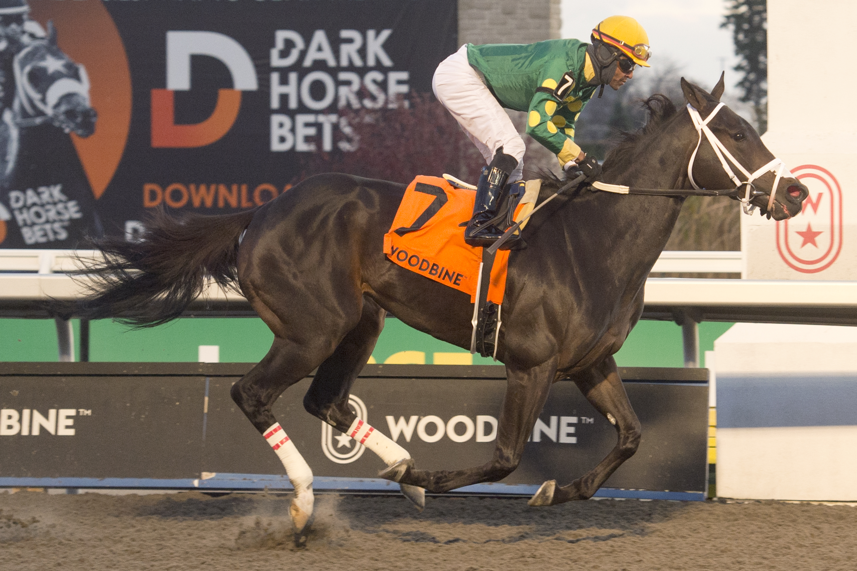 Pair of Kevin Attard Trainees Set For La Prevoyante Test