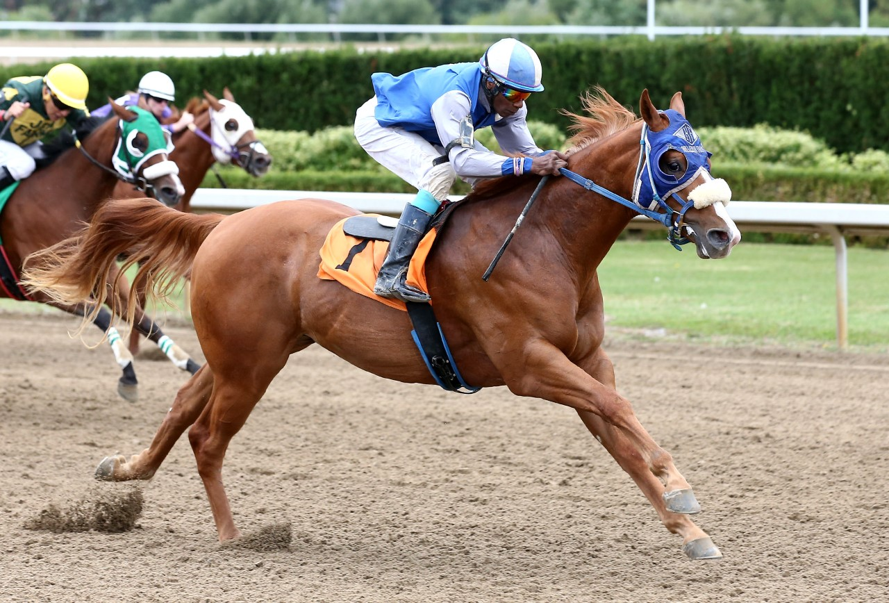 Undefeated Two-Year-Old Eazy Street Headlines Futurity Final