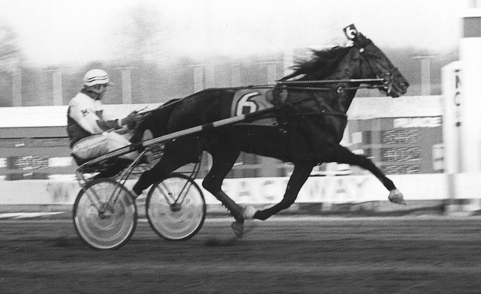 Snegem Flight and owner-driver Bill Megens are shown above in full flight.