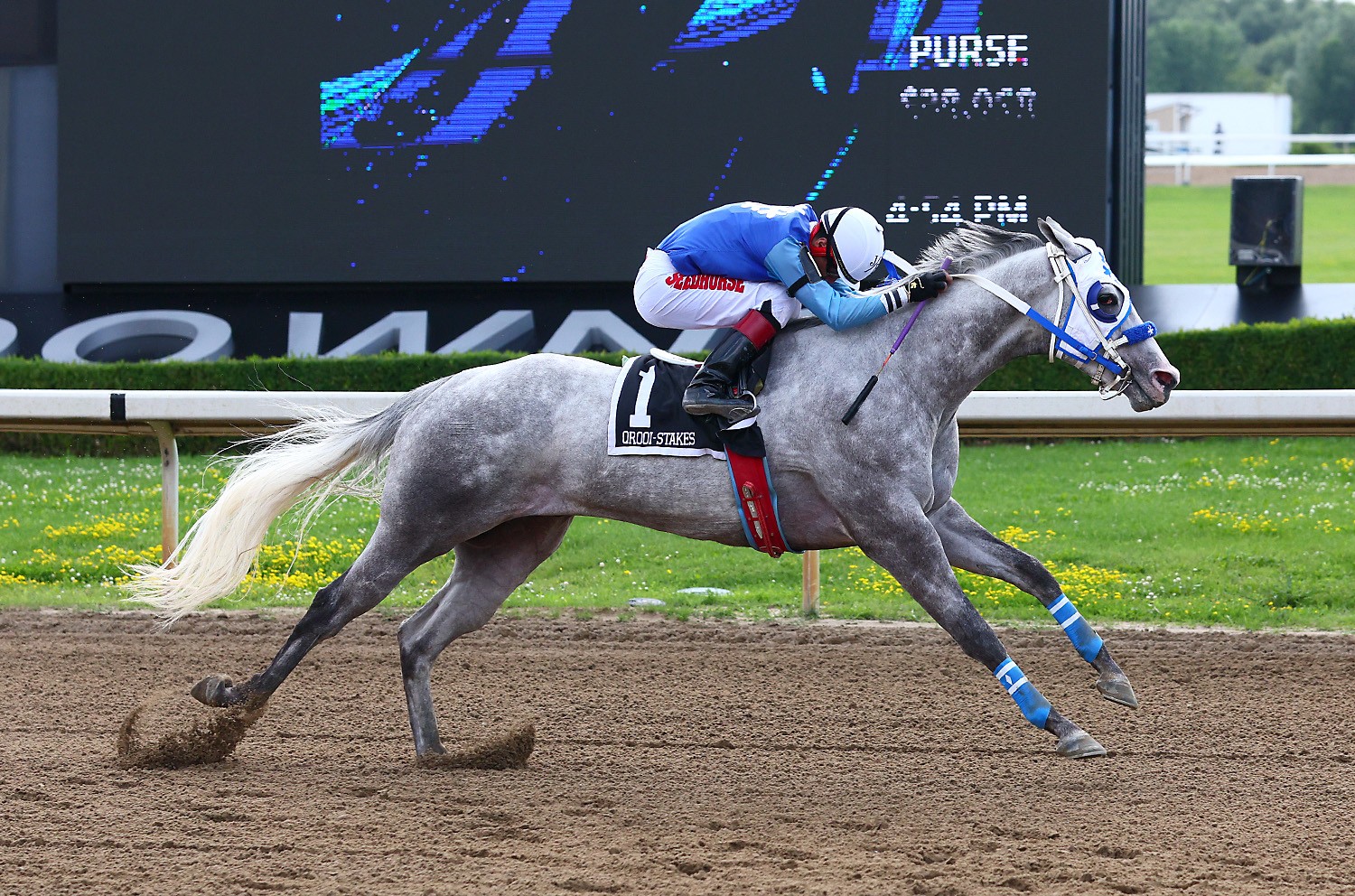 Snow Moose conquers Had To Be Ivory in Ontario Bred Maturity at Ajax Downs