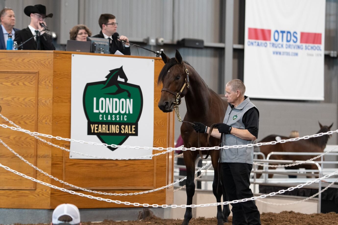 London Classic Yearling Sale 2023 Dates Announced Ontario Racing