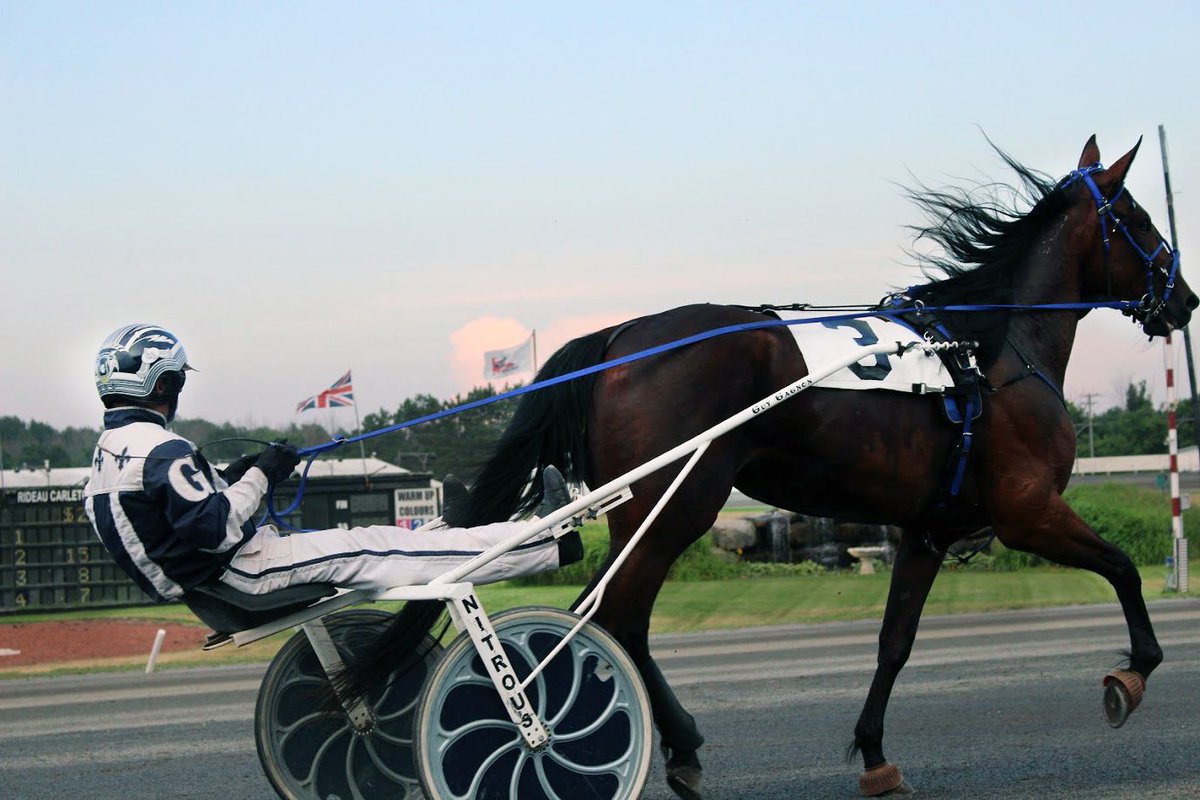 Melissa Keith’s Rideau Carleton Raceway Selections: Thursday, July 23, 2020