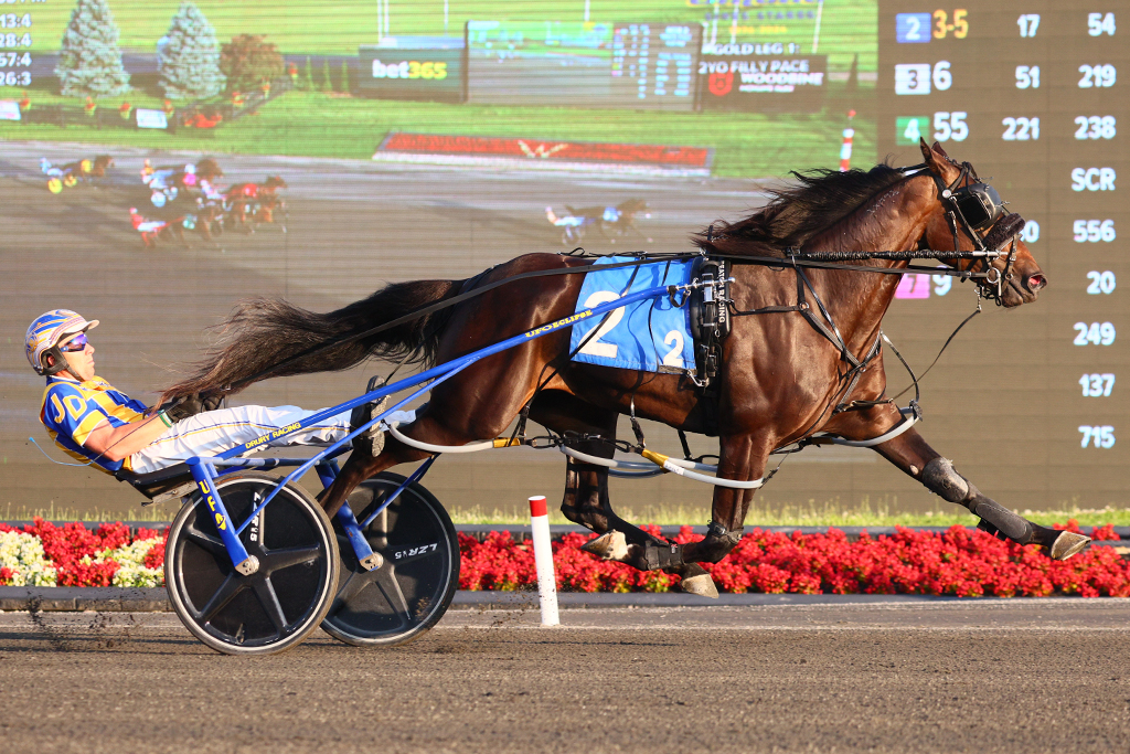 Wicked N Single winning an OSS Gold Series event for two-year-old pacing fillies at Woodbine Mohawk Park on July 6, 2024 (Clive Cohen/New Image Media)