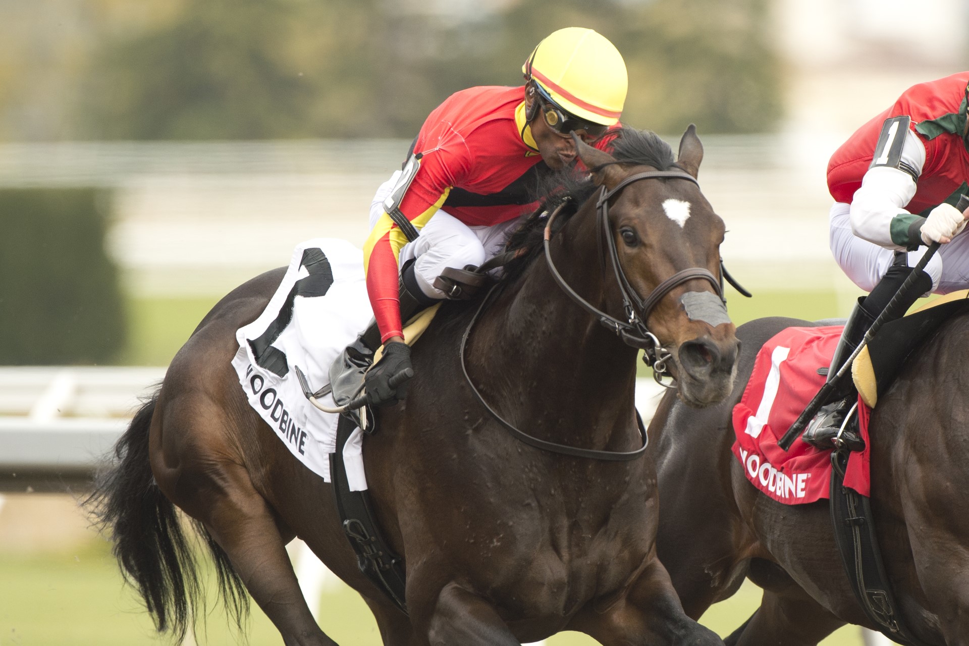 Picking the winner of the 89th Prince of Wales Stakes