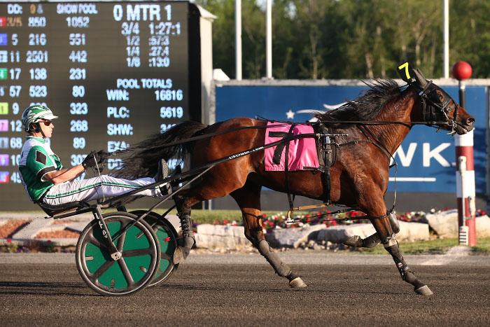 Filly taking a different path to OSS success than her big brother