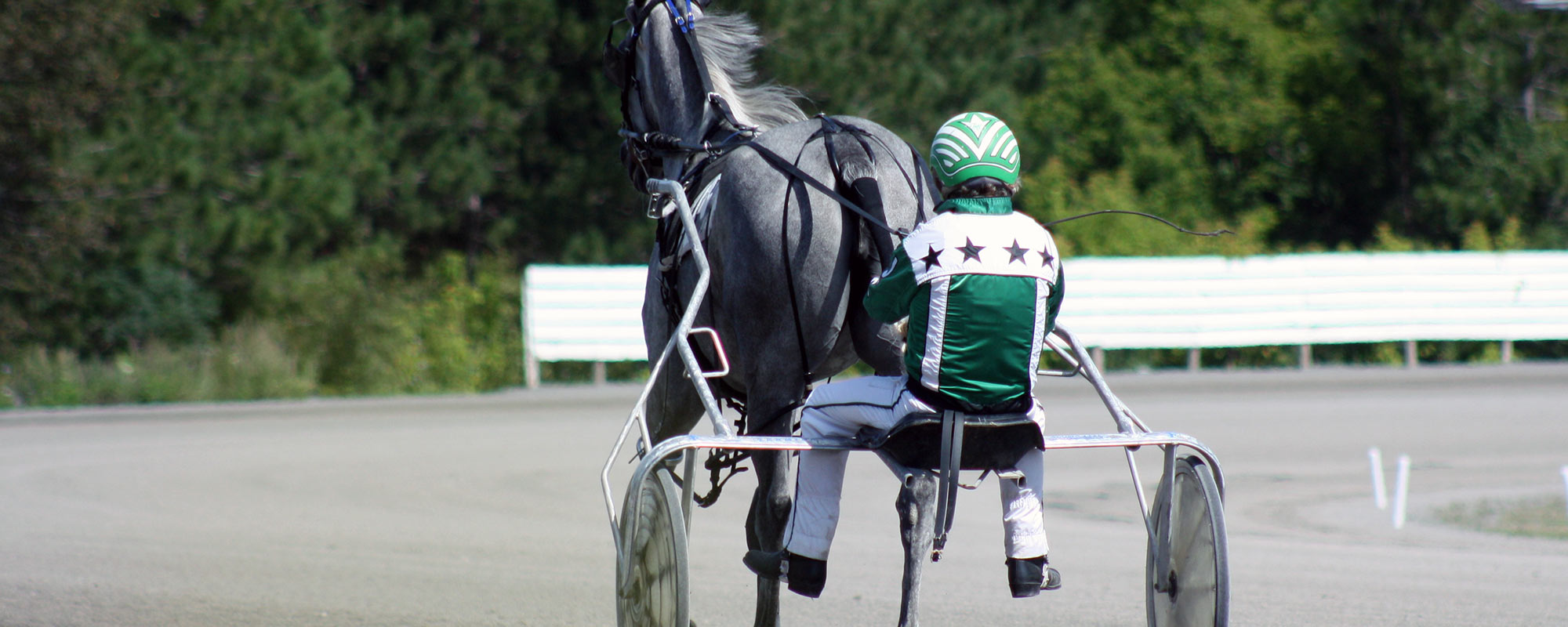 Melissa Keith’s Rideau Carleton Raceway Selections: Thursday, September 10, 2020