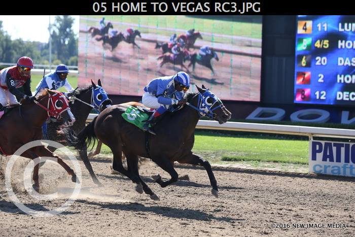 CHAMPIONSHIPS RACES AT AJAX ON THANKSGIVING MONDAY