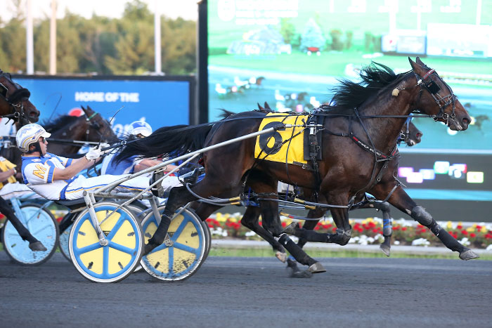 MacDonald and Steacy take top billing in Grassroots action