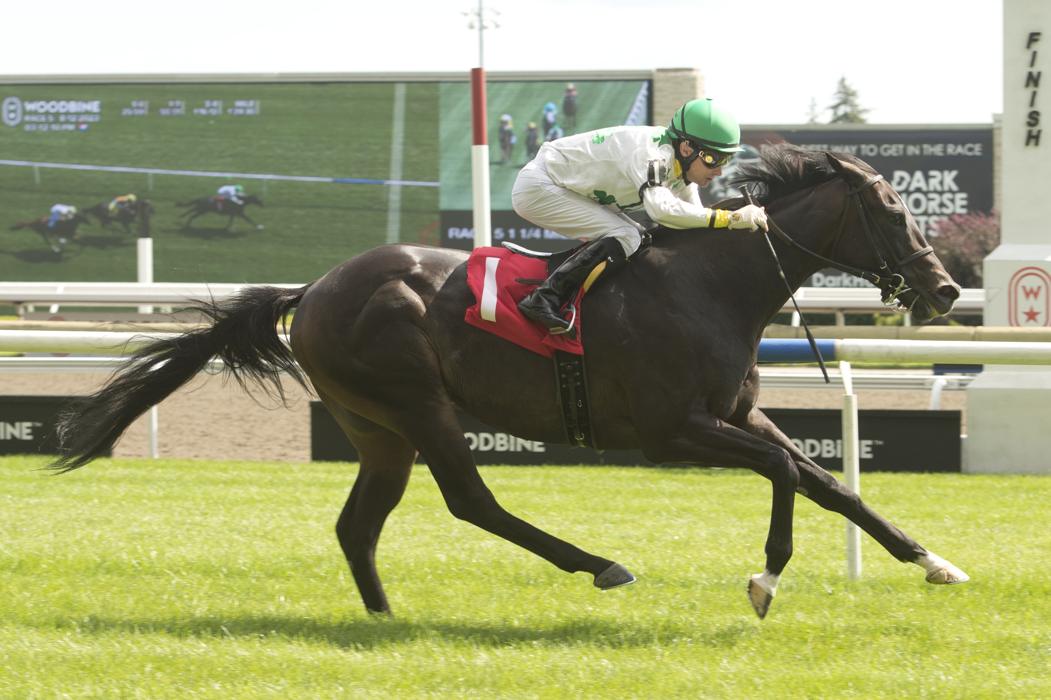 Ontario Bred Malibu Mambo Set for Grade 3 Singspiel Test