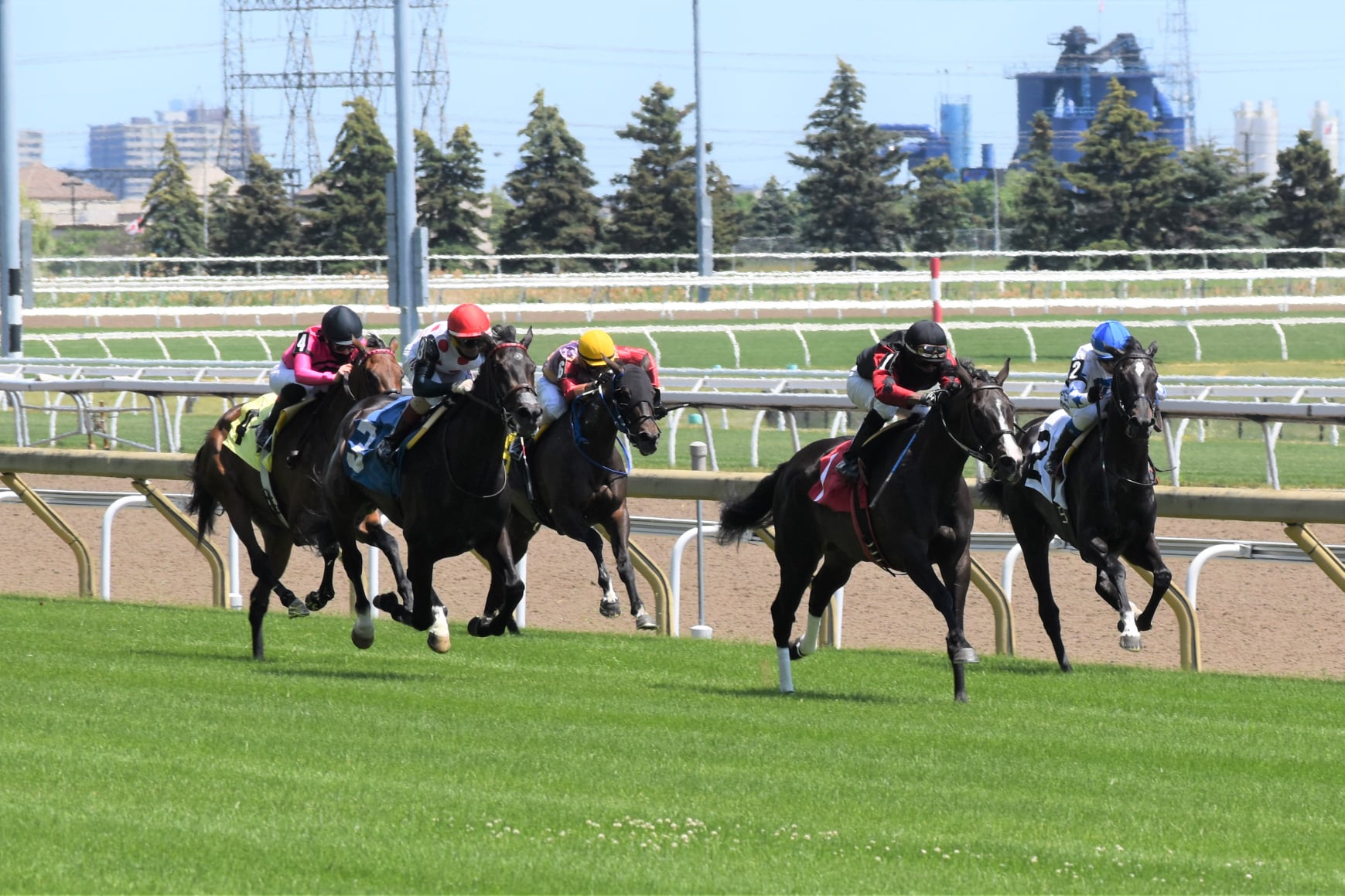 Bet Now – Horse Racing | Ontario Racing - Ontario Racing