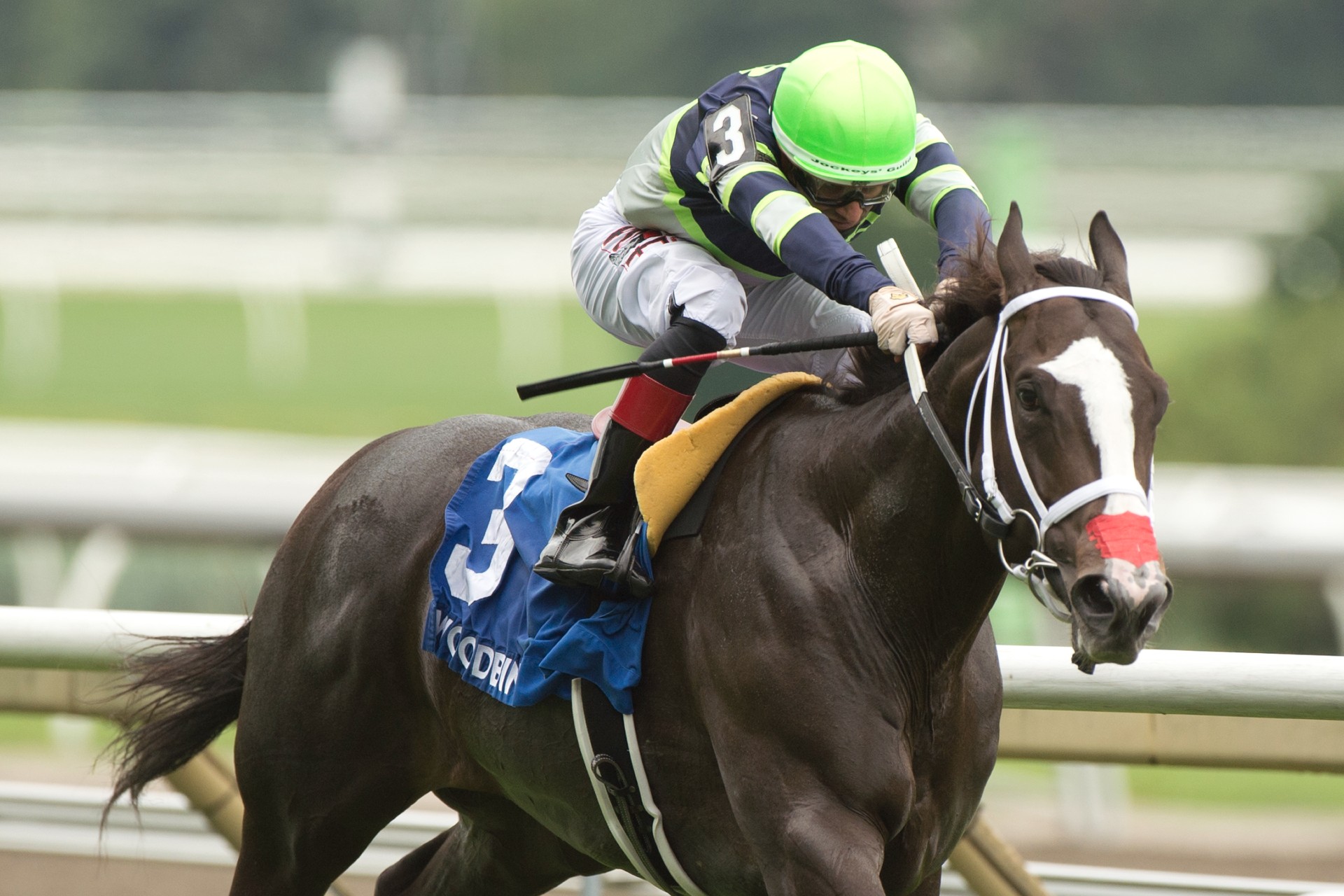 Live Lucky stays undefeated after Lake Superior score