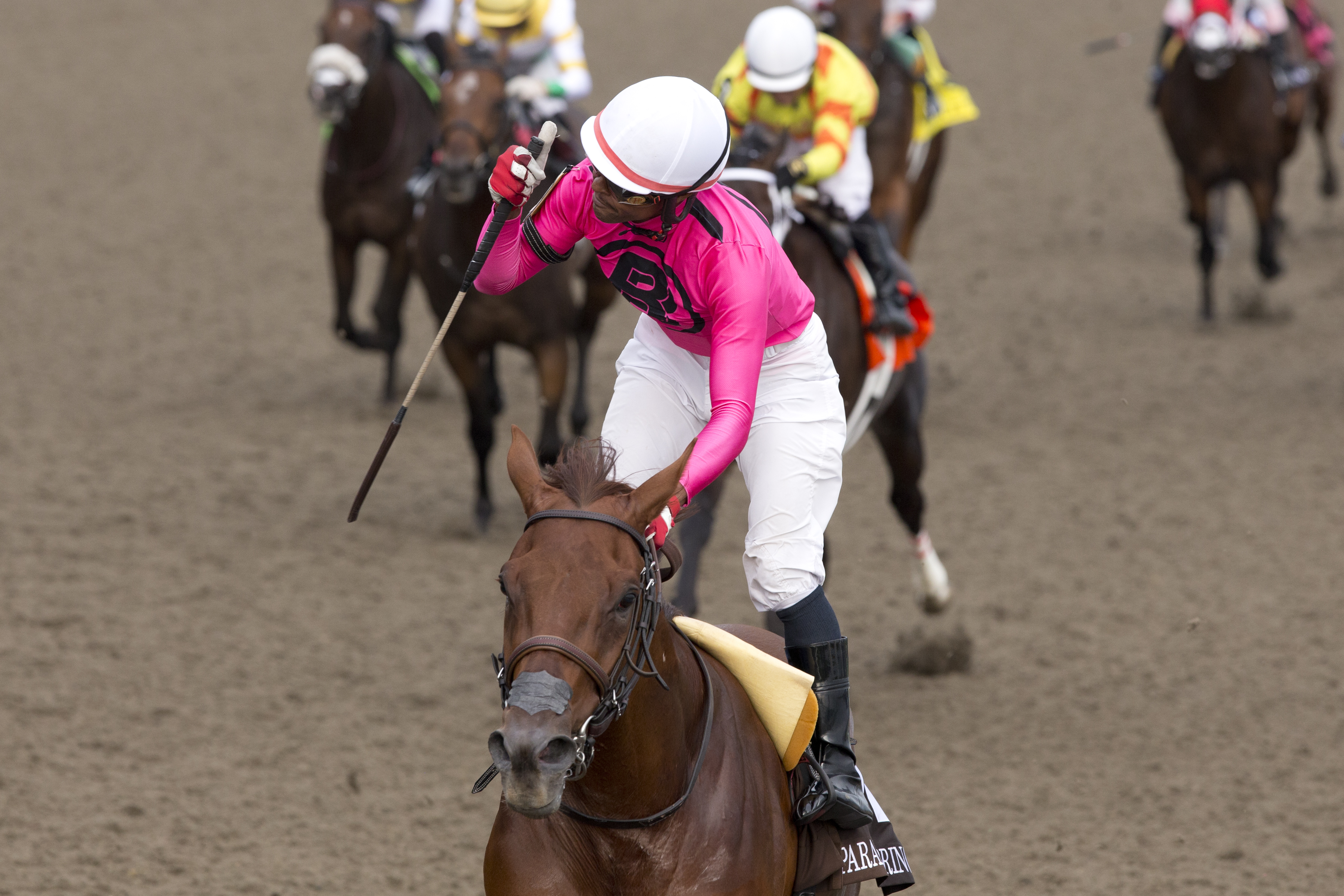 Paramount Prince and jockey Patrick Husbands winning The 164th King's Plate at Woodbine (Michael Burns Photo)