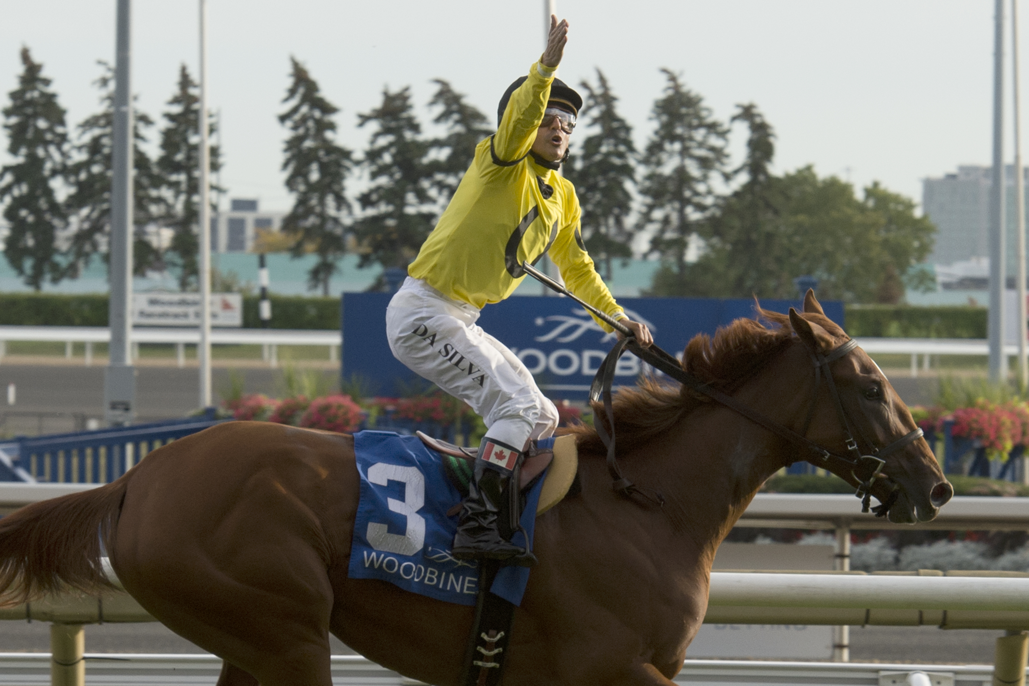 Breeders’ Cup Can-Con Notes for Thursday, November 2, 2017
