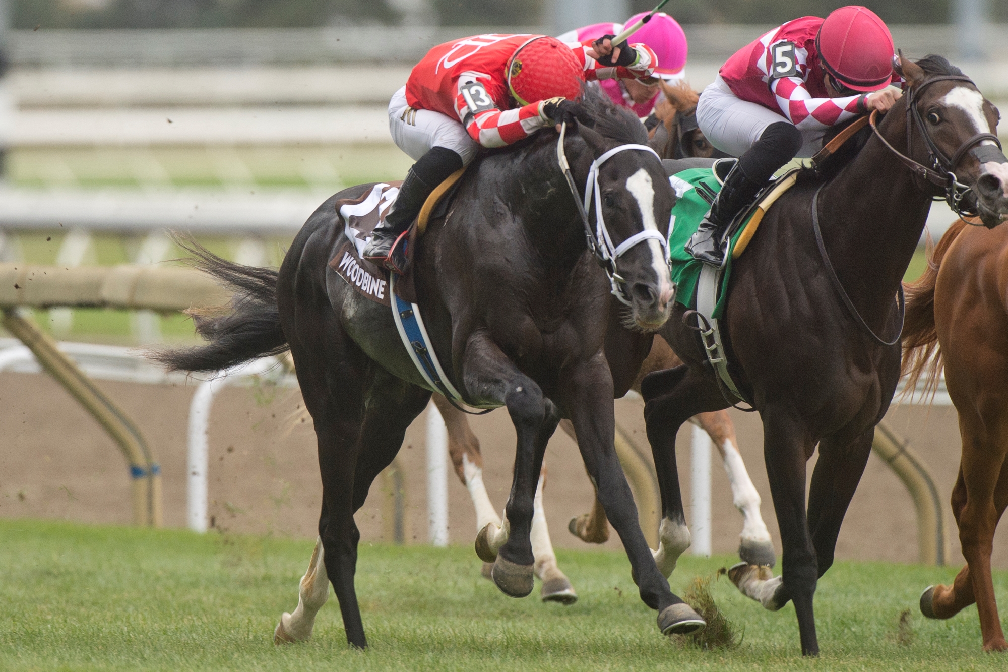 Ontario Sired Preview King’s Plate 2023 Ontario Racing