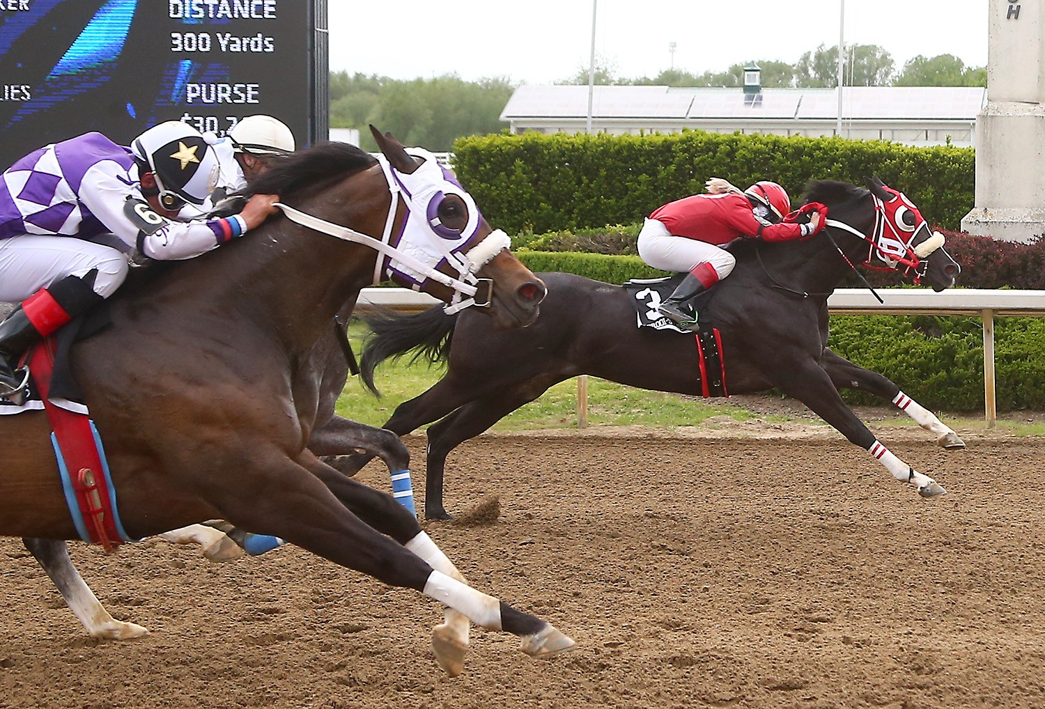 Rbybybaby Streaks to Open Derby Victory