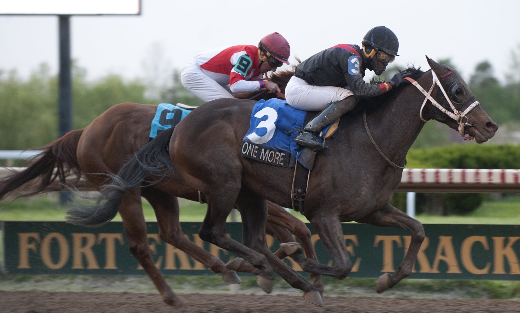 Big Crowds And Strong Wagering Mark Opening Day At Fort Erie Race Track