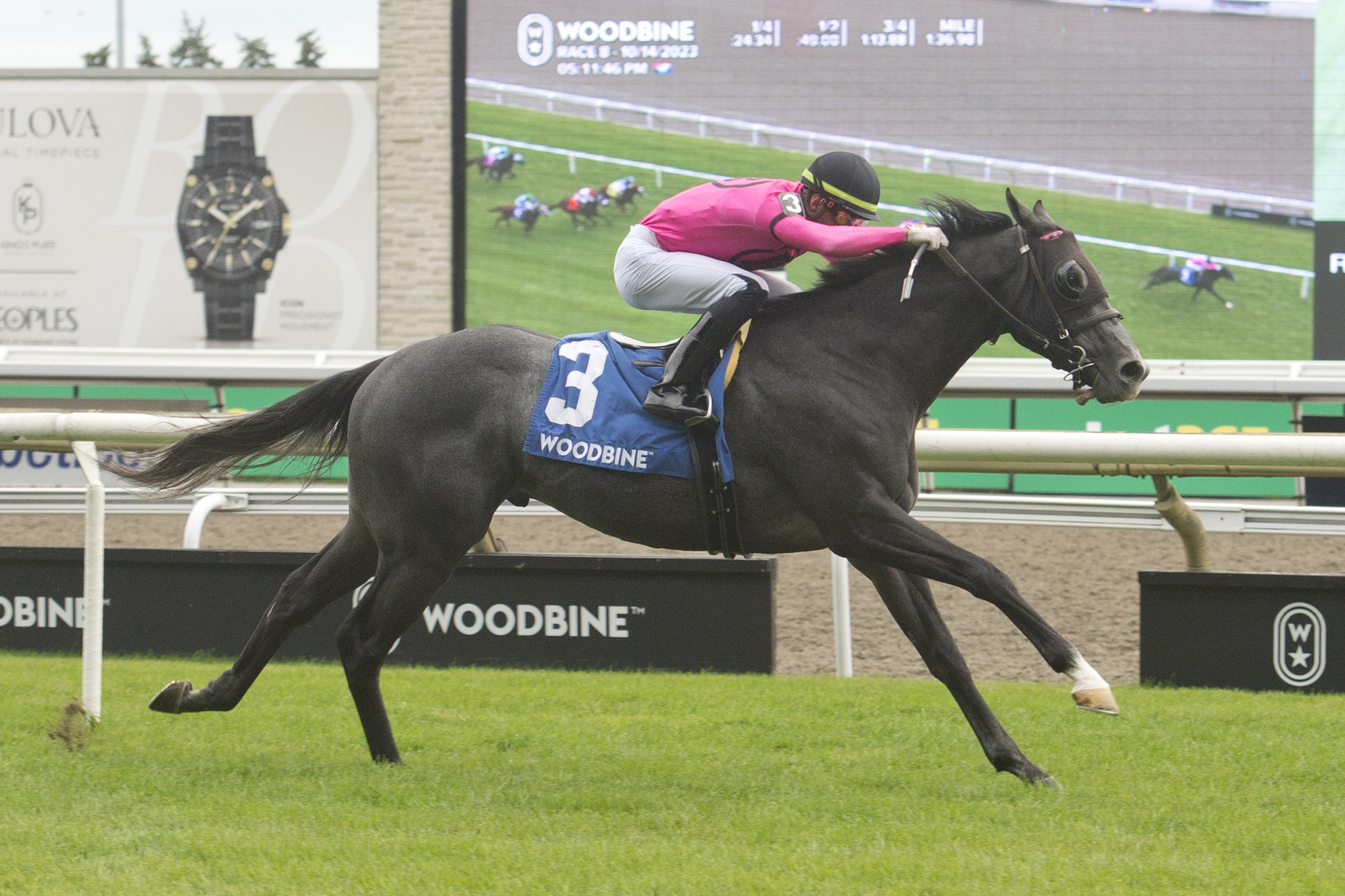 101 thoroughbreds nominated to 2024 Canadian Triple Crown