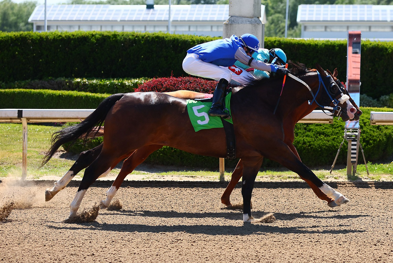 Father-son duo Anthony, Ryan Alderson score Battle of the Breeds win on Father's Day