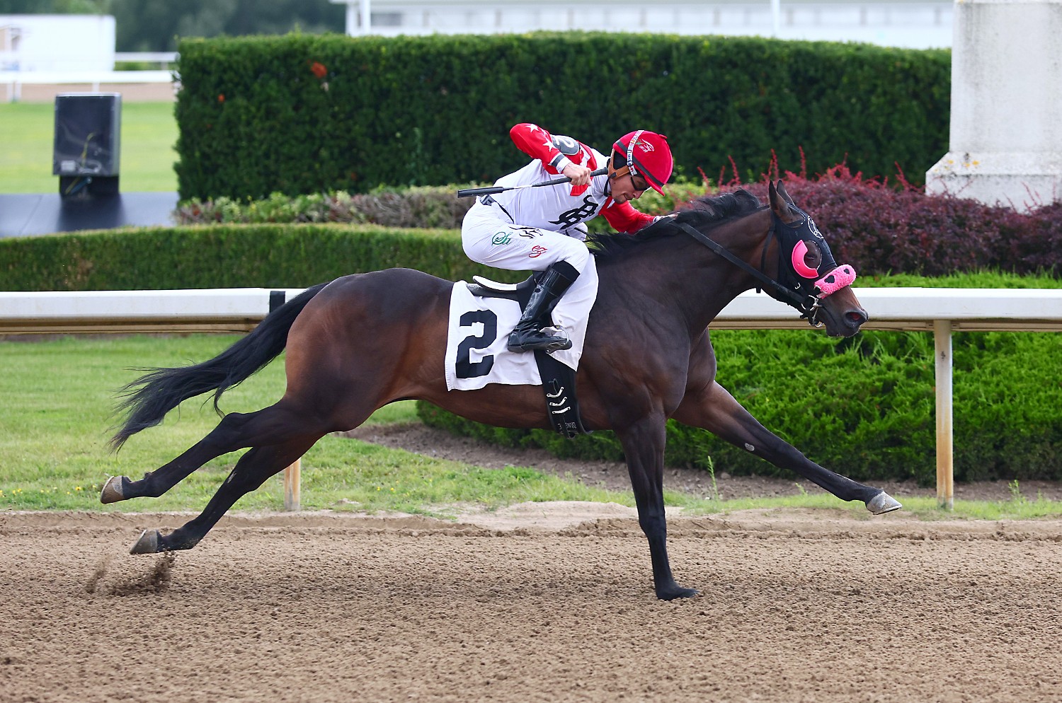 First for You, Niigaanii take Ontario Sires Futurity Trials while Sea to Air wins the Battle