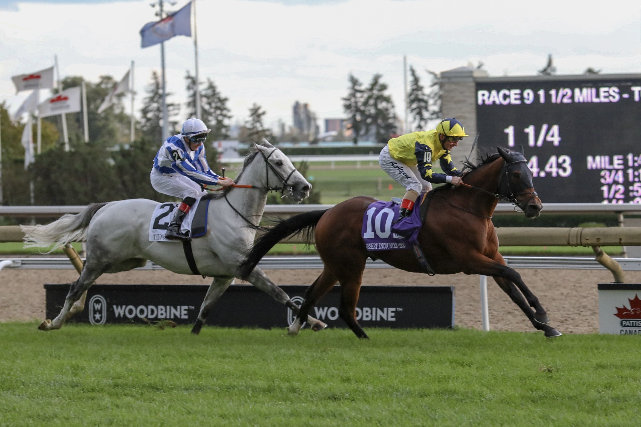 Desert Encounter triumphs in the Pattison Canadian International