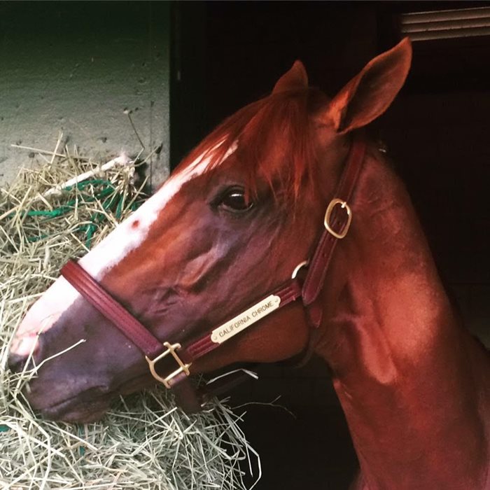 Carmen Day and California Chrome