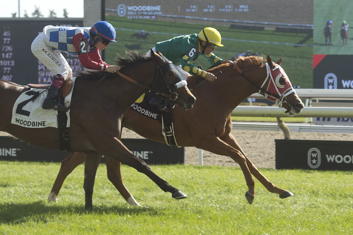 Amalfi Coast seeks to be the toast of 12-horse Bessarabian