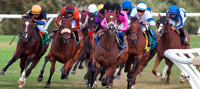 Ontario Racing Shares Facts About Horse Racing Funding