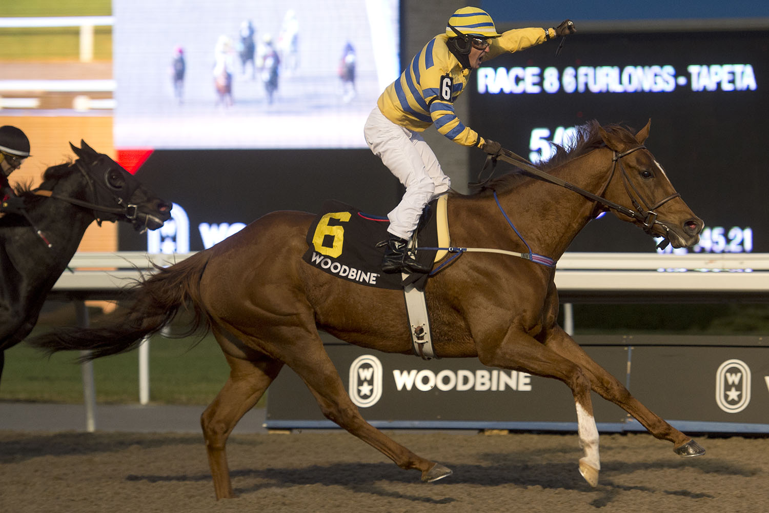 Jockey Club of Canada announces finalists for 2019 Sovereign Awards