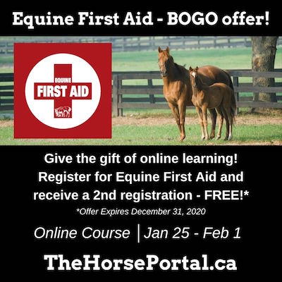 Equine Guelph: Important Information For Horsepeople
