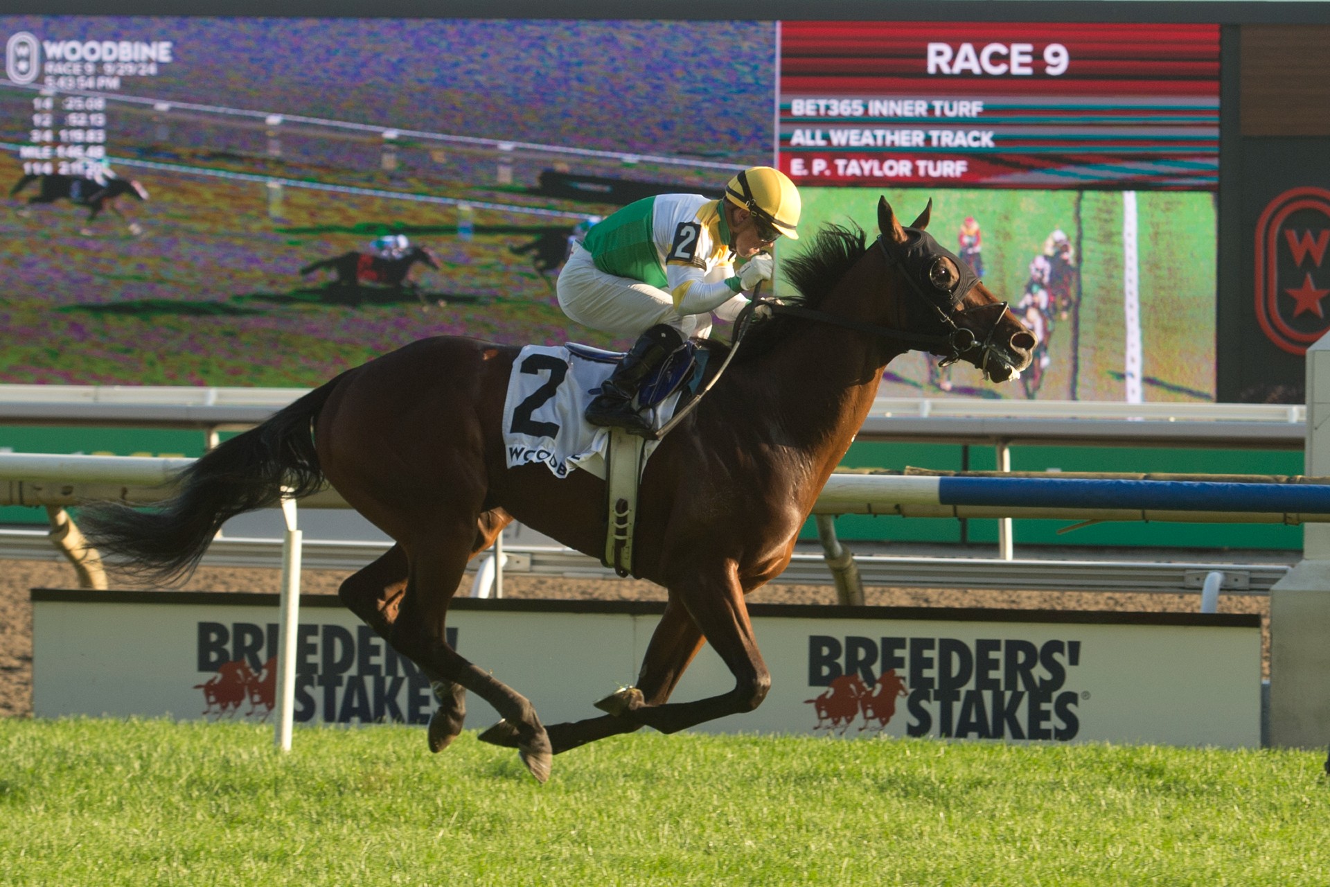 A Chiefswood Breeders’ Stakes sweep