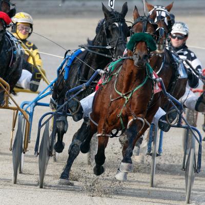 REMINDER: Ontario Racing Association to Host Standardbred Information Sessions