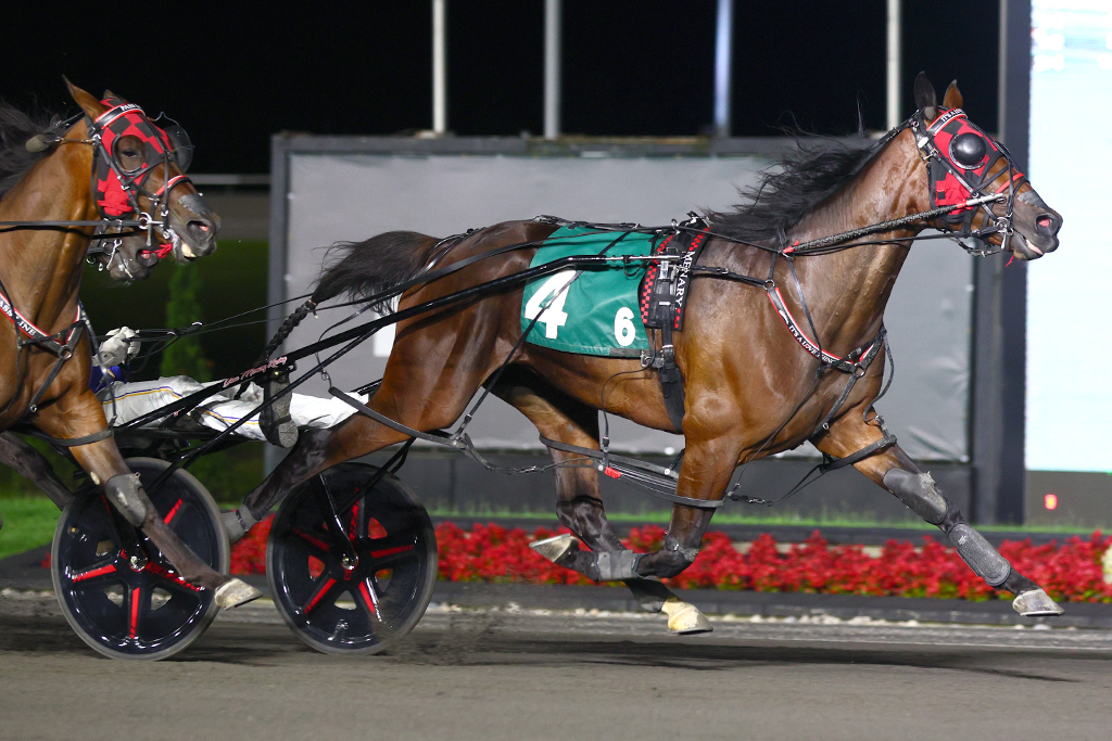 Its A Love Thing, Nijinsky become millionaires as they dominate OSS Mid-Season Finals