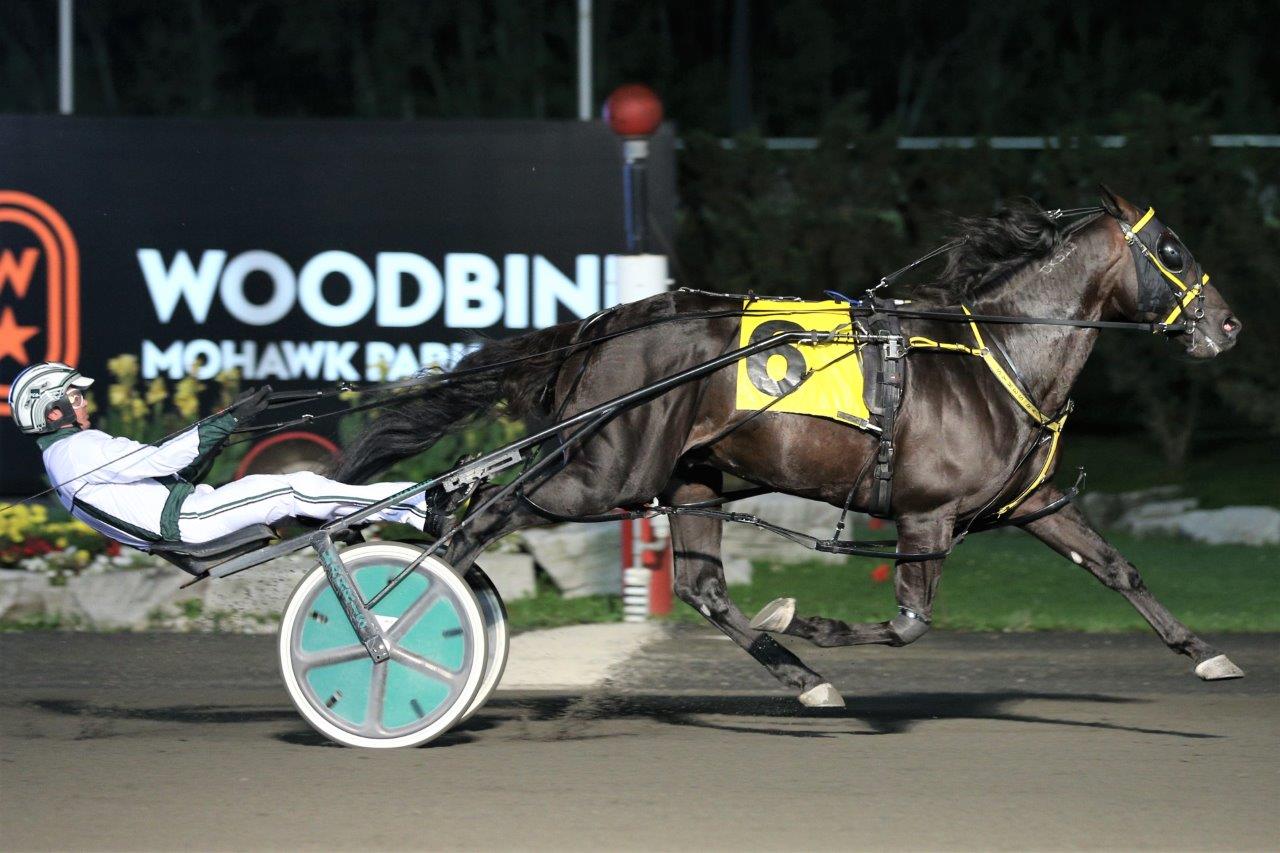 Ontario Sires Stakes Stallion Spotlight: Rockin In Heaven