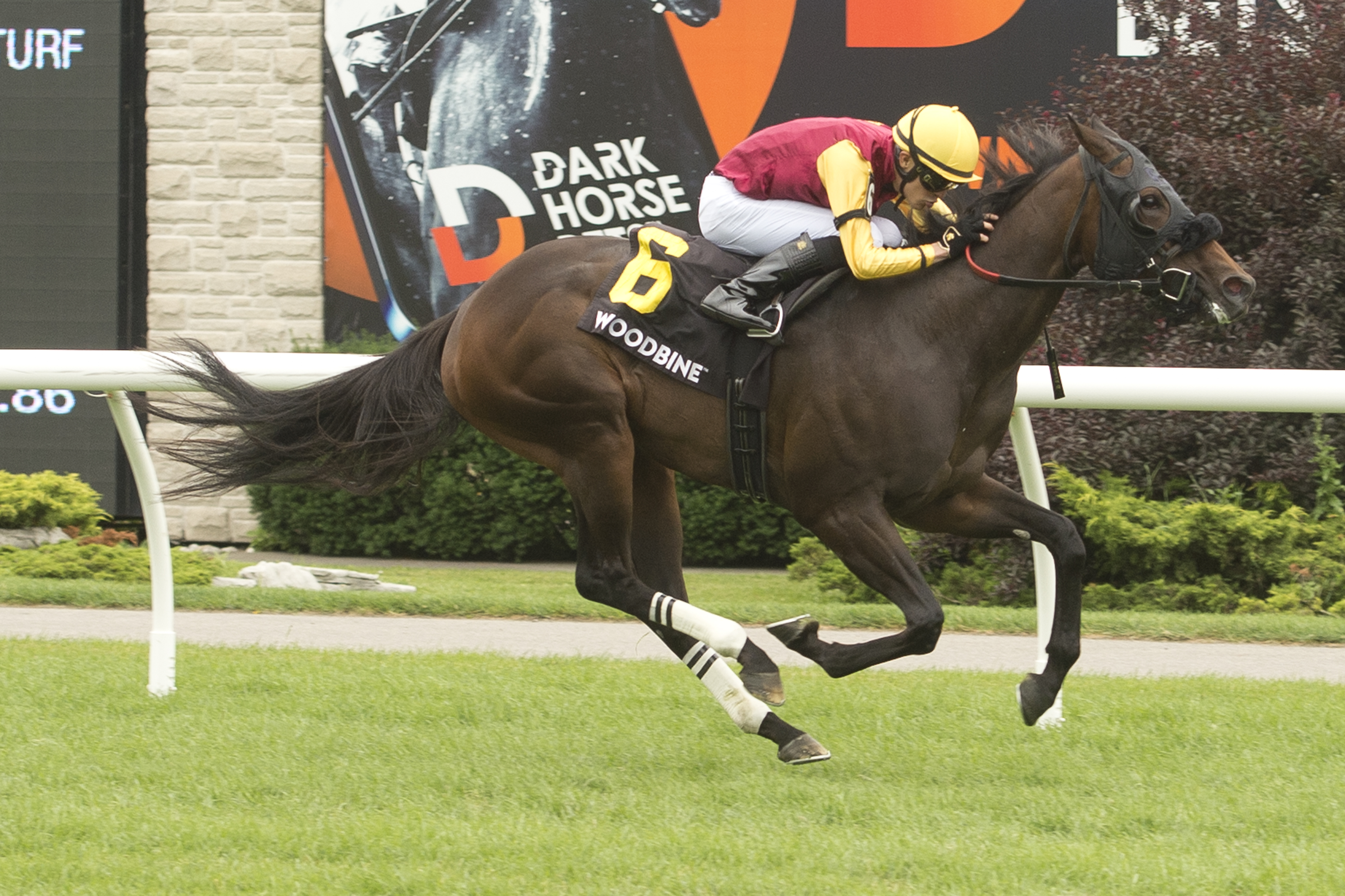 On a Roll, Souper Sunday Rumbles into Thunder Bay Stakes