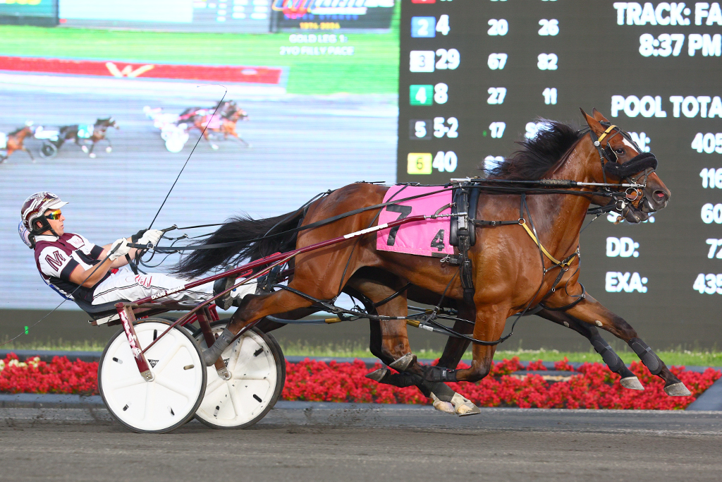 Wickedpace winning an OSS Gold Series event for two-year-old pacing fillies at Woodbine Mohawk Park on July 6, 2024 (Clive Cohen/New Image Media)