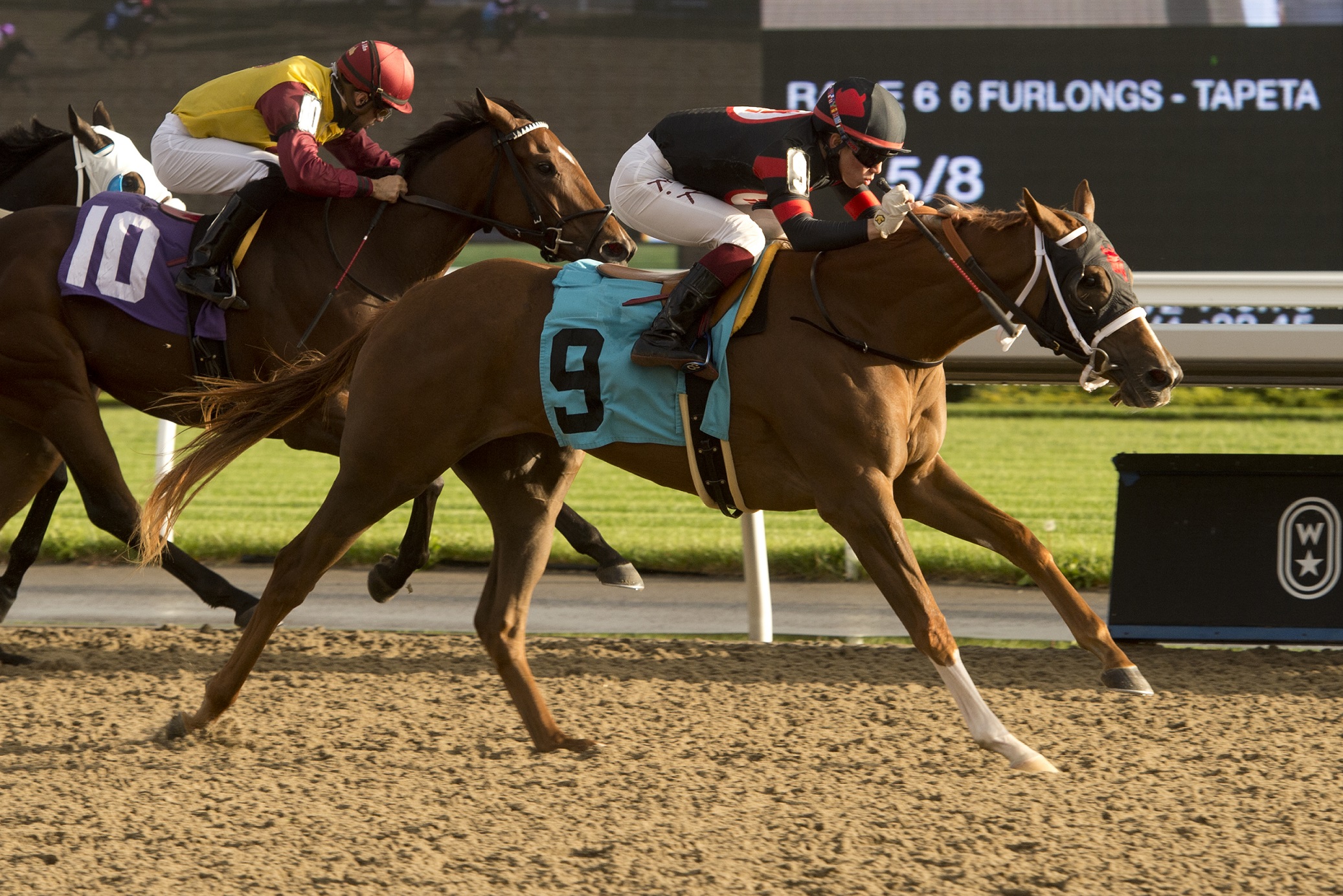 Attard seeing ‘Red’ ahead of South Ocean Stakes