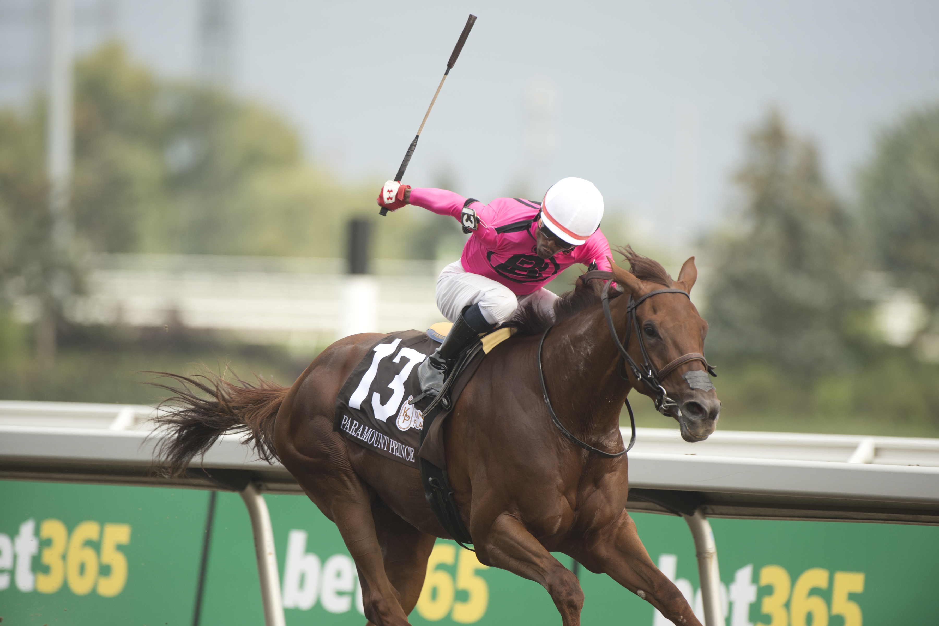 Paramount Prince and jockey Patrick Husbands winning The 164th King's Plate at Woodbine (Michael Burns Photo)