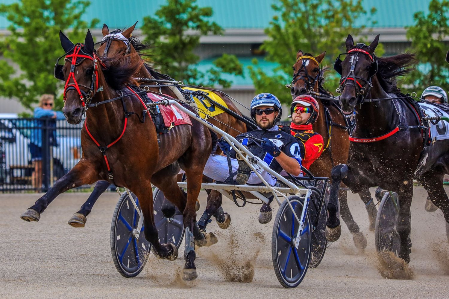 Melissa Keith’s Rideau Carleton Raceway Selections: Thursday, October 14, 2021