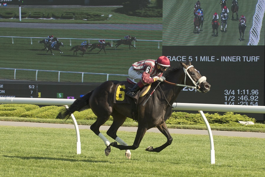 2021 Thoroughbred Meet at Woodbine Racetrack Postponed