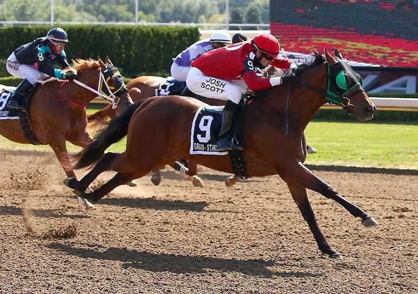 Sixteen 2-year-olds in two Time Trials for $60,000-added Ontario Sires Stakes Futurity August 25