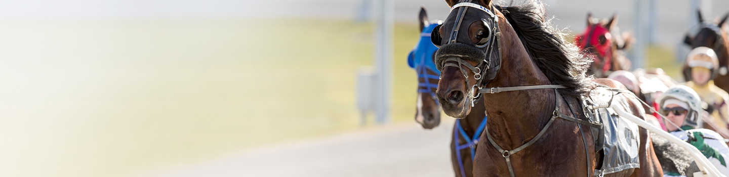 Flamboro Downs - Ontario Racing