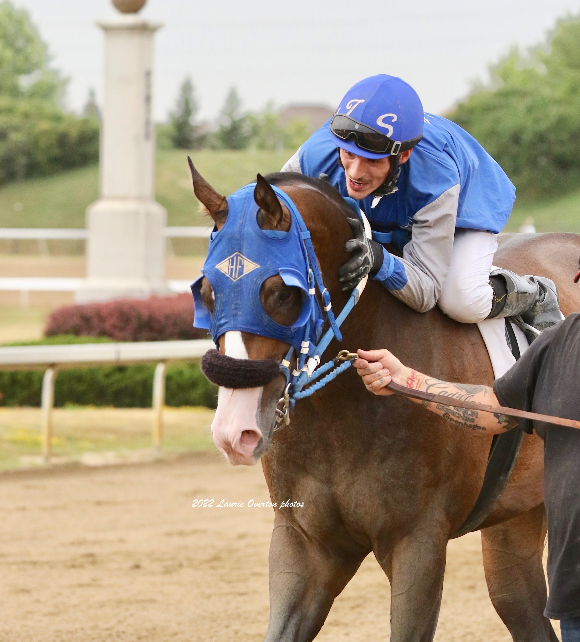 Jockey with horse