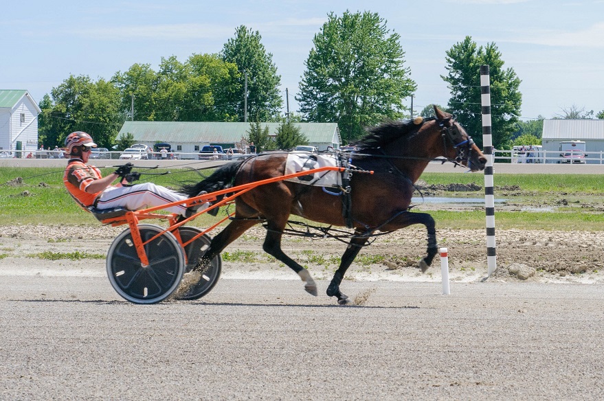 Grassroots a highlight of Canada Day at Dresden Raceway