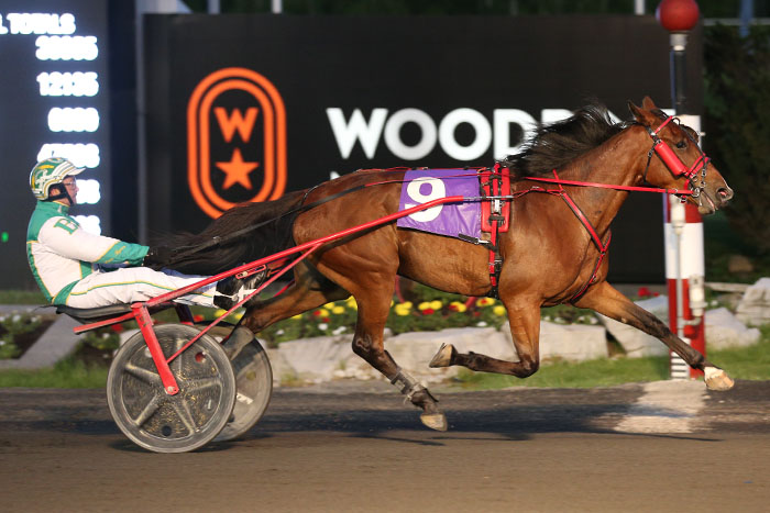 Freshman trotting colts debut at Georgian Downs Sunday