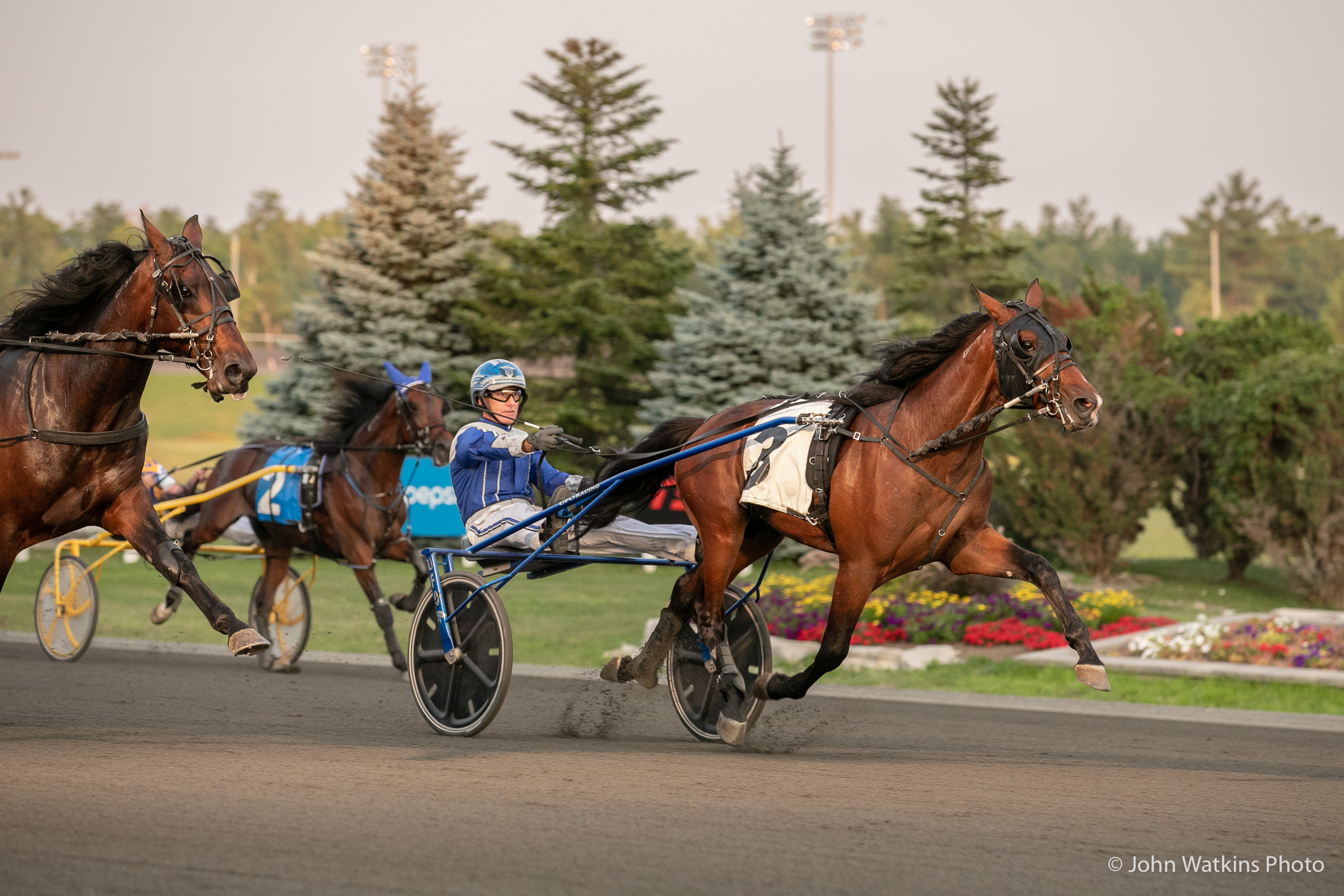 Woodbine unveils new stakes conditions