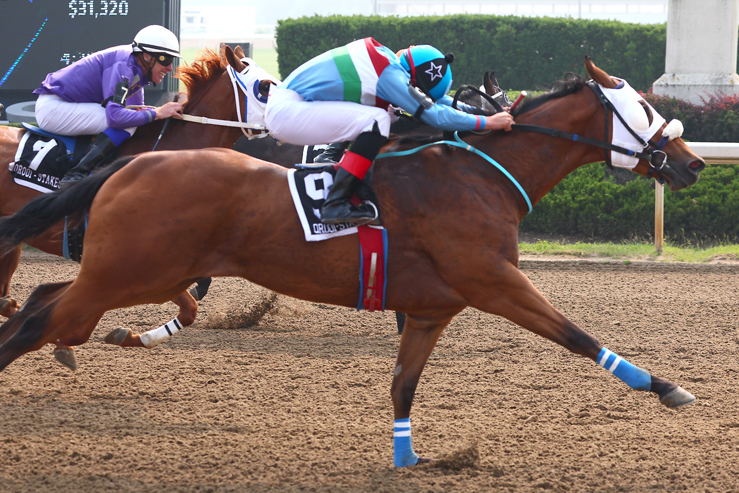 Ontario bred Cheeko Malo came from the clouds to win the co-featured Unclassified/Never Better Than 79 Maturity on June 28. New Image Media Photo