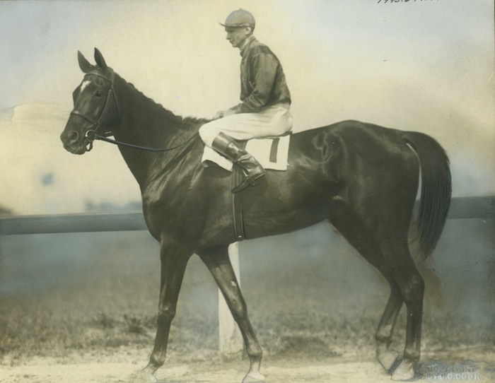 Canadian Horse Racing Hall of Fame Honours Exterminator & Woodland Drummond as 2016 Legends