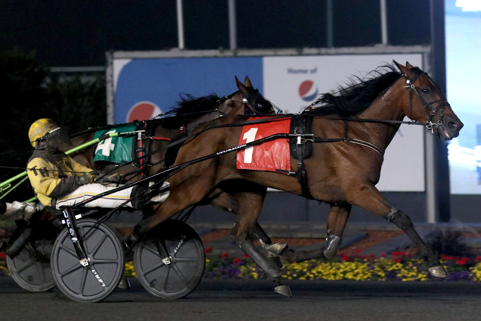 Trotting fillies follow divergent paths to Gold Series victory
